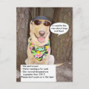 Search for heat postcards Dog