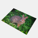 Search for rabbit doormats Cute