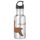 Search for cute alpaca water bottles Llama