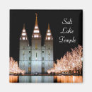 Search for salt square magnets Salt lake city