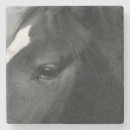 Search for profile barware Horse