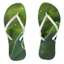Search for green algae Water