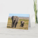 Search for reserve cards Kenya africa