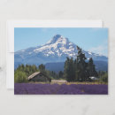 Search for cabin crew photography Mountain