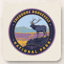 Search for national park coasters Classic vintage