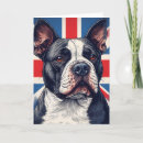 Search for staffy cards Pet