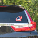 Search for love ak stickers Flag