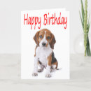Search for happy birthday beagle Dog