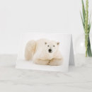 Search for hudson cards Arctic