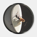 Search for carpenter magnets Nature