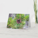 Search for holiday folded note cards Nature