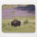 Search for dakota mousepads Wildlife