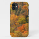 Search for fall foliage cases Autumn