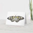 Search for rice paper cards Watercolor