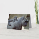 Search for gorilla photography Monkey