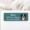 Search for mountain dog return address labels Bernese