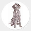 Search for griffon stickers Wirehaired pointing griffon