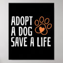 Search for animal adoption posters Dog