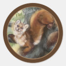 Search for environmental gift wrap Cute