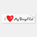 Search for i love cats bumper stickers Kitten