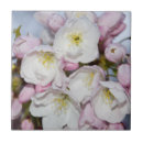 Search for apple tree tiles Springtime