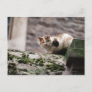 Search for walls postcards Brick