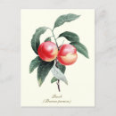 Search for peach postcards Stylish