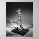Search for magnifier posters Magnifying