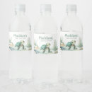 Search for turtle labels Ocean