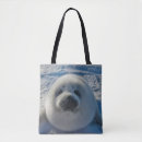 Search for seals bags Baby seal