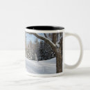 Search for winter scenes mugs Frozen