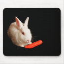 Search for pig pic mousepads Pet