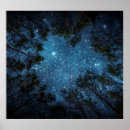 Search for night sky posters Woods