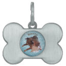 Search for photo pet tags Pets