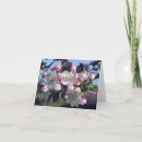 Search for awesome photography Flower