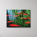 Search for bright fish art Colourful