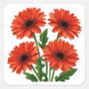 Search for daisy stickers Bouquet