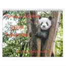 Search for panda calendars Wildlife