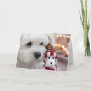 Search for dog dad christmas cards Animal