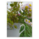 Search for multi region photography Pink