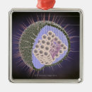 Search for virus christmas tree decorations Small business