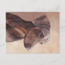 Search for doberman postcards Canine