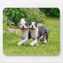 Search for terrier mousepads Playing