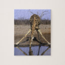 Search for eco puzzles Environment