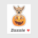 Search for pumpkin vinyl stickers Halloween