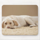 Search for lying down mousepads Usa