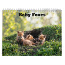 Search for baby calendars Foxes