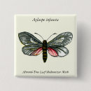 Search for butterfly pictures badges Drawing