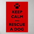 Search for dog rescue posters Dogs