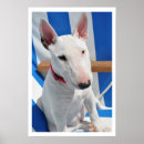 Search for bull terrier art Dog lovers